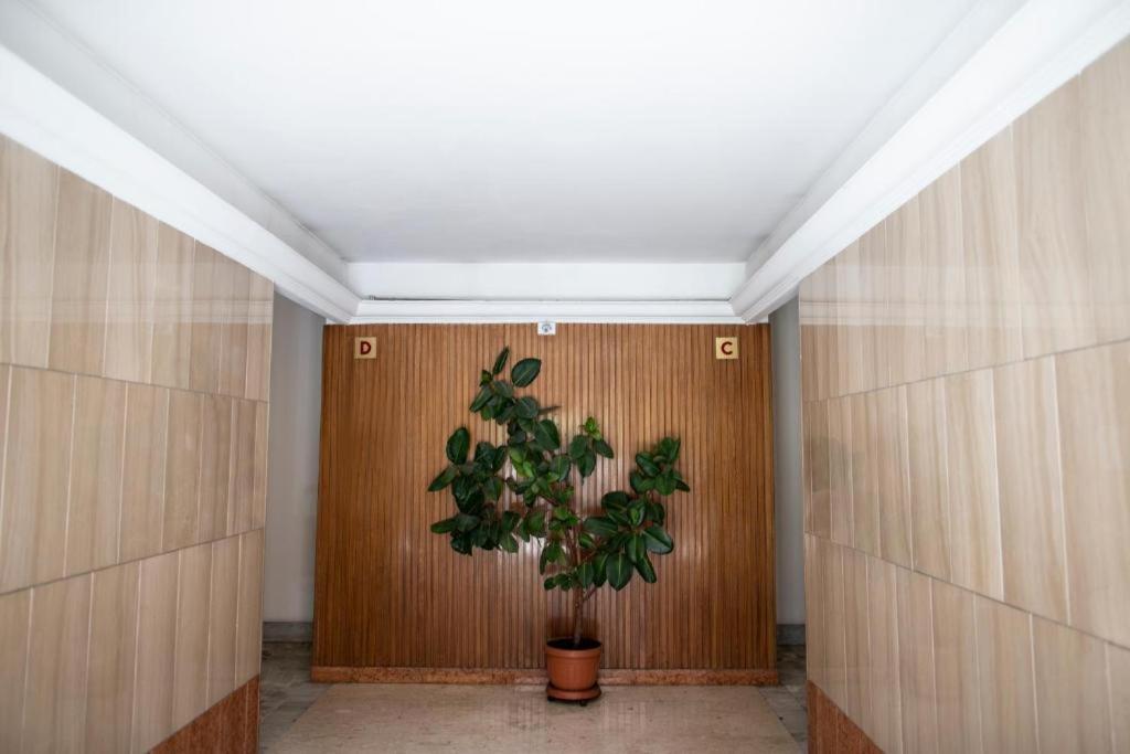 Apartment Palace 2 *